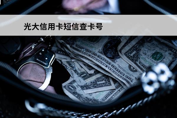 光大信用卡短信查**