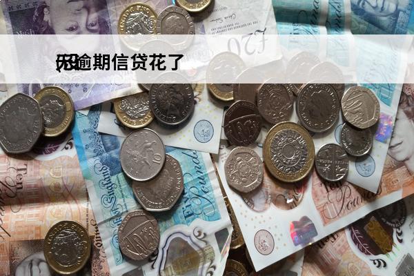 无逾期信贷花了
(没