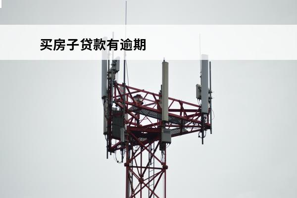 买房子贷款有逾期
 买房子贷款有逾期怎么处理
