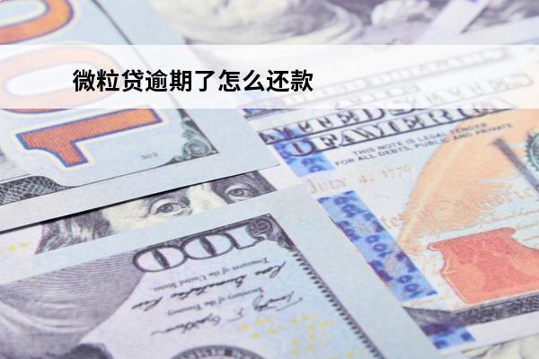 微粒贷逾期了怎么还款