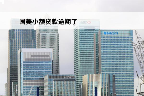 国美小额贷款逾期了
 国美小贷上征信吗
