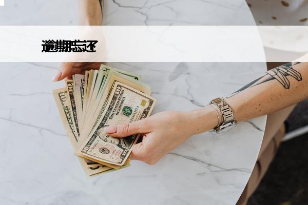 逾期忘还
 逾期忘了还款
