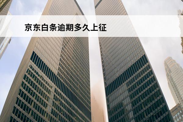 京东白条逾期多久上征