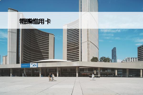 特殊信用卡
 特殊信
