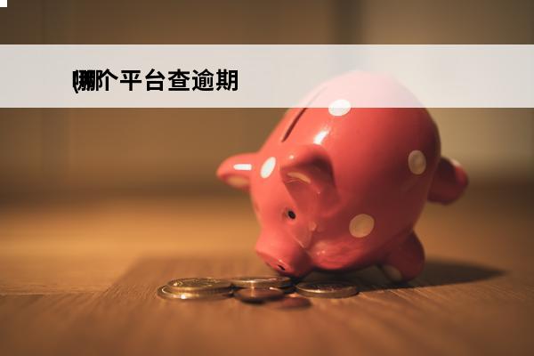哪个平台查逾期
(哪