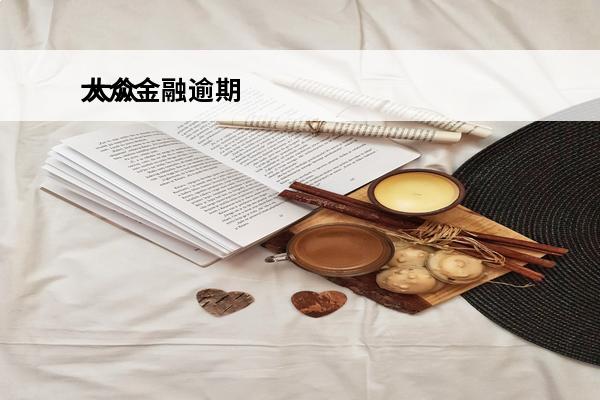 大众金融逾期
 大众