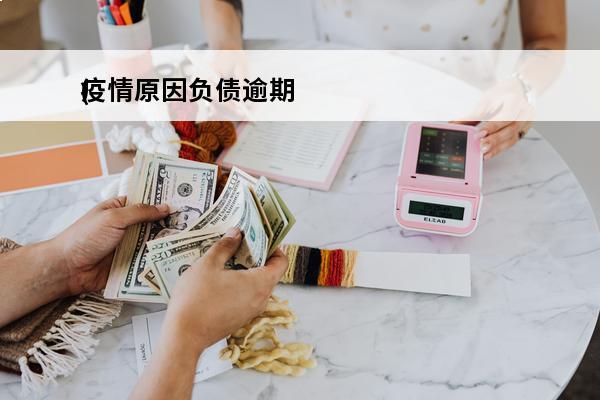 疫情原因负债逾期
(因为疫情负债累累)
