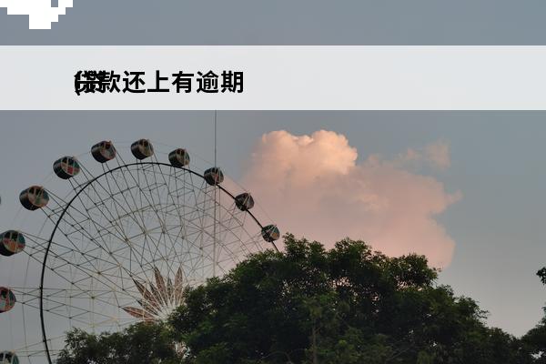 贷款还上有逾期
(贷