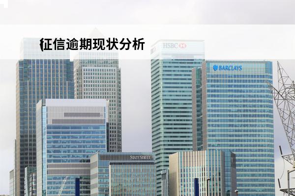 征信逾期现状分析
(