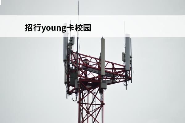 招行young卡校园版信用卡
(招商young卡校园)