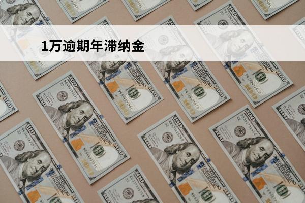 1万逾期年滞纳金
 