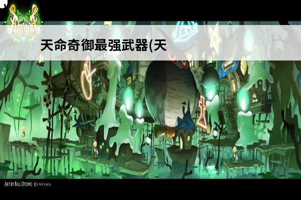 天命奇御最强武器(天命奇御长柄武器是什么)