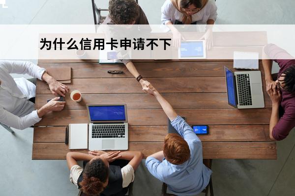 为什么信用卡申请不下来
(为什么信用卡申请不下来还有办法吗)
