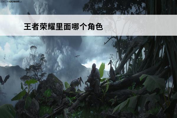 王者荣耀里面哪个角色