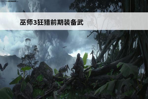 巫师3狂猎前期装备武