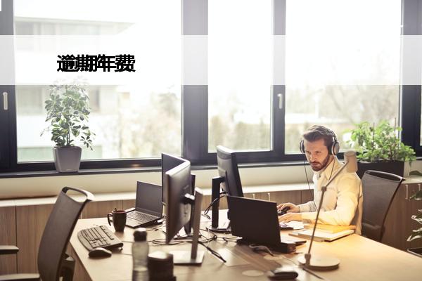 逾期年费
 逾期年费