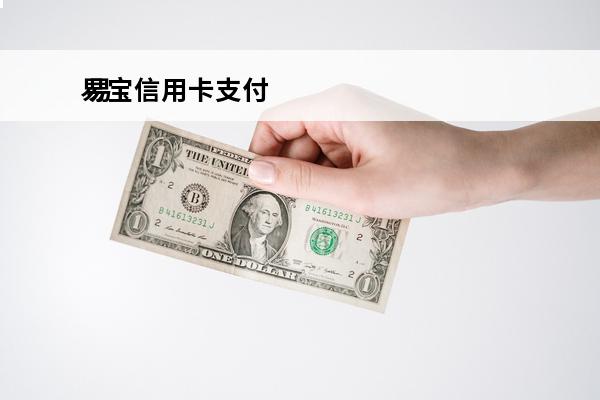 易宝信用卡支付
 易