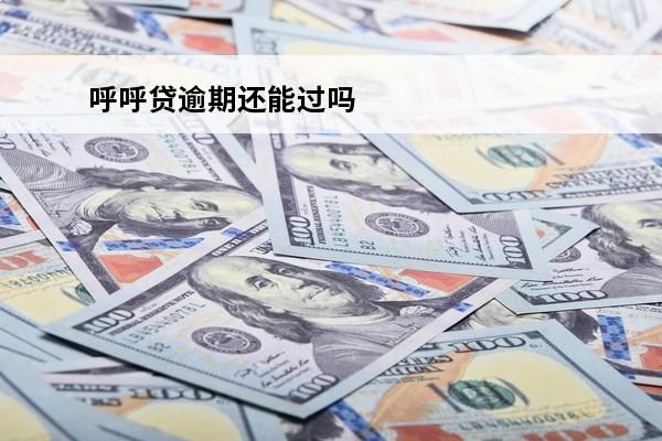 呼呼贷逾期还能过吗
 呼呼贷是哪个公司的