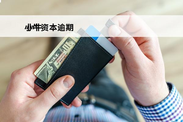 小牛资本逾期
 小牛