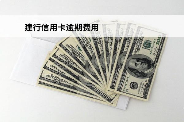 建行信用卡逾期费用
