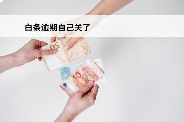 白条逾期自己关了
 京东白条逾期关闭后可以重新开通吗