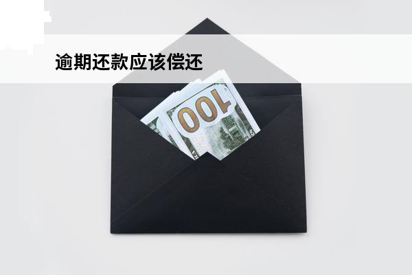 逾期还款应该偿还
 