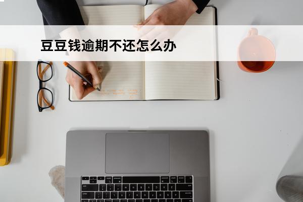 豆豆钱逾期不还怎么办