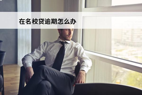 在名校贷逾期怎么办
