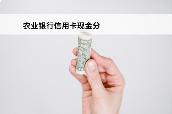 农业银行信用卡现金分