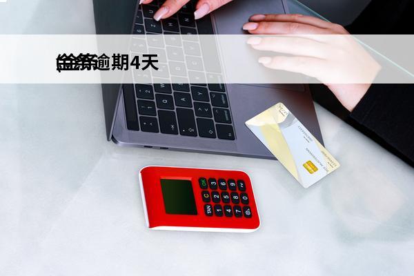 金条逾期4天
(金条