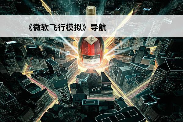 《微软飞行模拟》导航