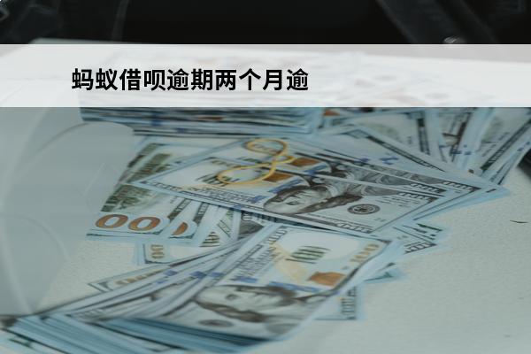 蚂蚁借呗逾期两个月逾