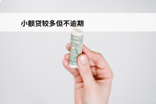 小额贷较多但不逾期
 小额贷多但不逾期车贷能下么