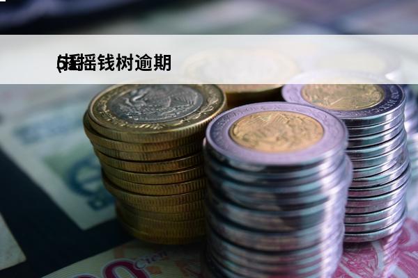 51摇钱树逾期
(摇