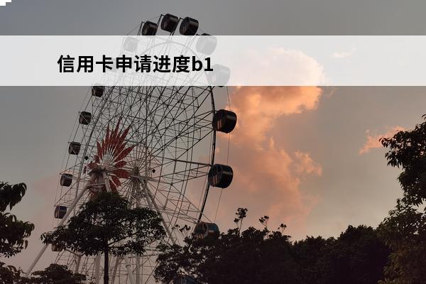 信用卡申请进度b1
(信用卡申请进度表)