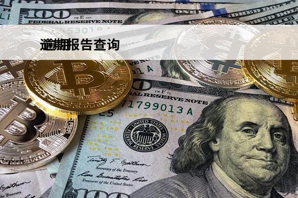 逾期报告查询
 逾期