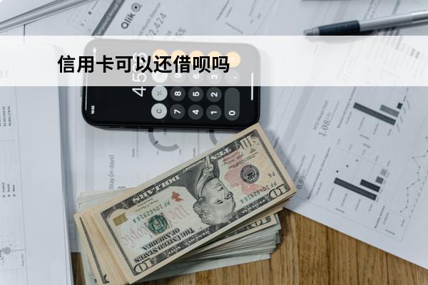 信用卡可以还借呗吗
(可以用信用卡还花呗和借呗吗)