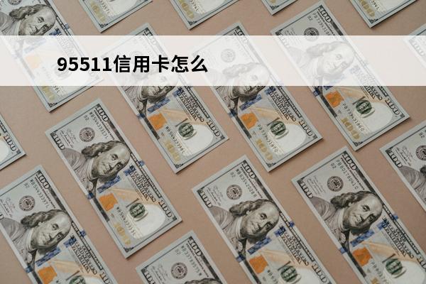 95511信用卡怎么