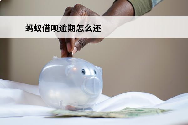 蚂蚁借呗逾期怎么还

