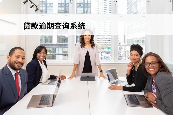 贷款逾期查询系统
(贷款逾期案件在哪里查询)