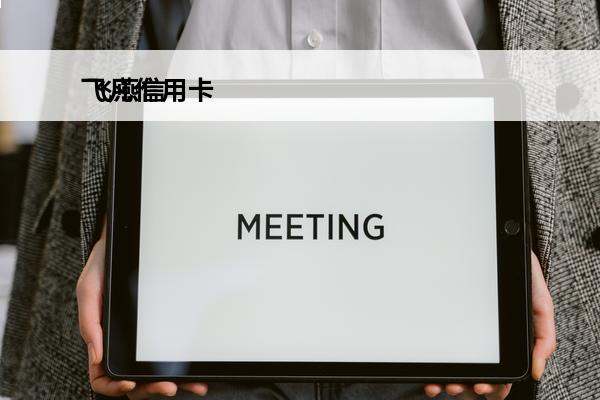 飞凡信用卡
 飞燕信用卡