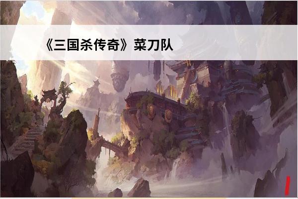 《三国杀传奇》菜刀队