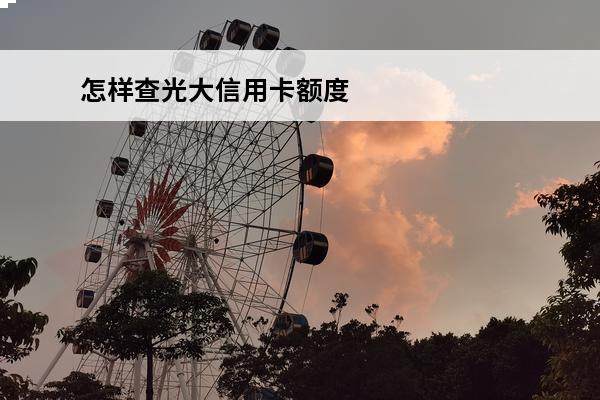 怎样查光大信用卡额度