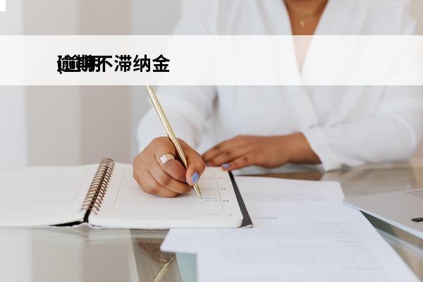 逾期不滞纳金
(逾期的滞纳金)