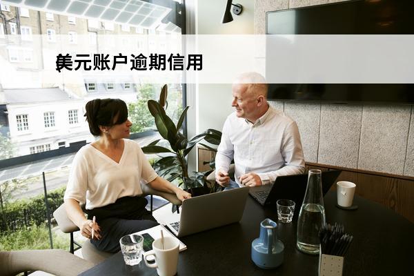 美元账户逾期信用
(