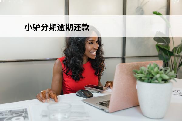 小驴分期逾期还款
 