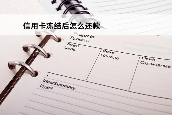 信用卡冻结后怎么还款