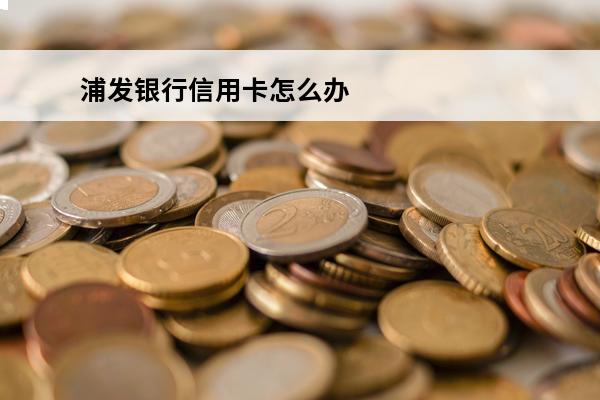 浦发银行信用卡怎么办