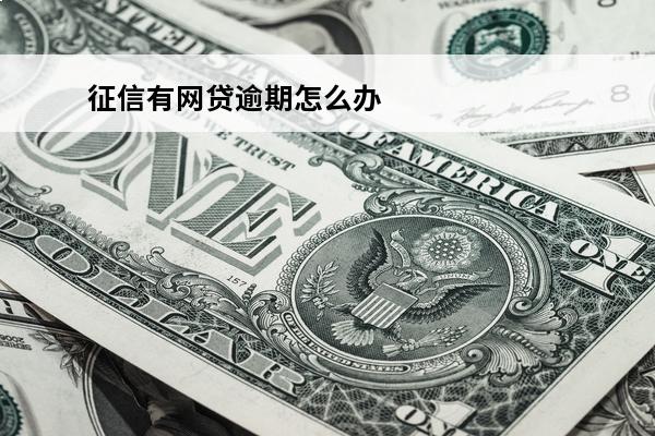 征信有网贷逾期怎么办