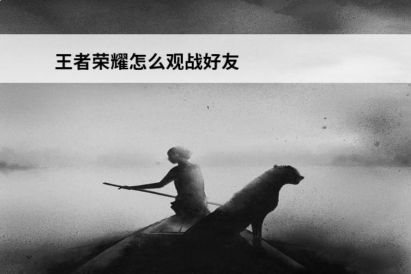王者荣耀怎么观战好友对局?(王者荣耀怎么观战自己的对局)